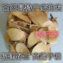 Chinese herbal medicine Fujian local wild yellow gardenia root gardenia root gardenia root mountain gardenia root pure root dry goods 250g