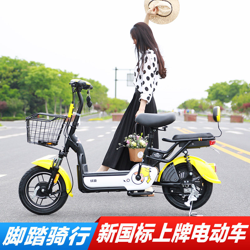 luyuan mini bike