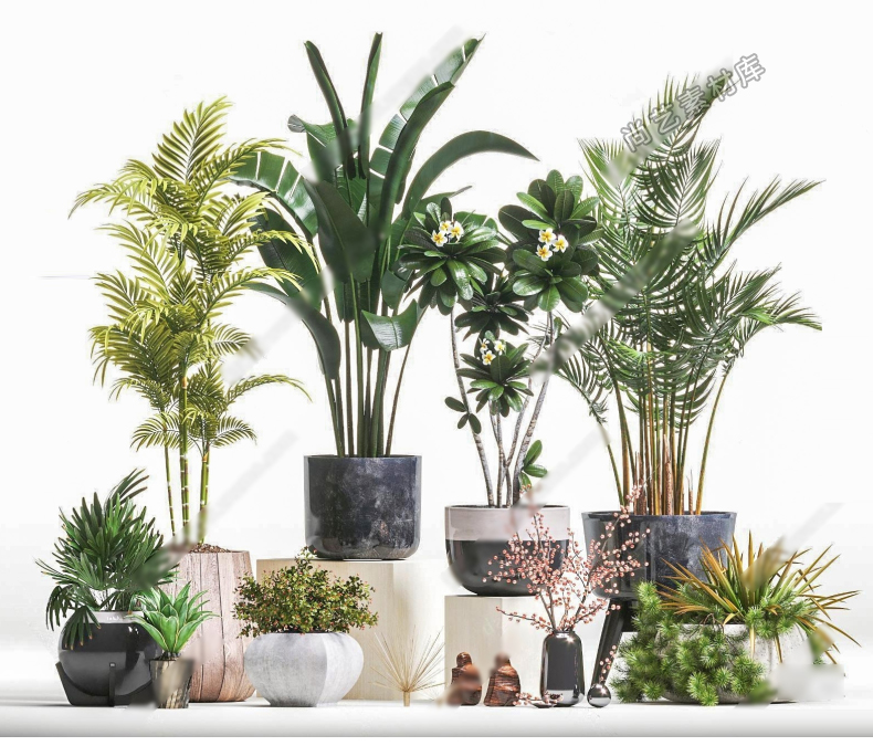 图片[2]-绿植植物花卉盆栽盆景松树单体草图大师SU模型室内花盆花草素材-cg男孩