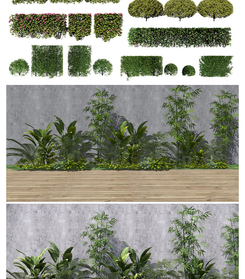 图片[11]-2023园林景观庭院植物花草树木绿篱乔木花卉灌木丛草图大师SU模型-cg男孩