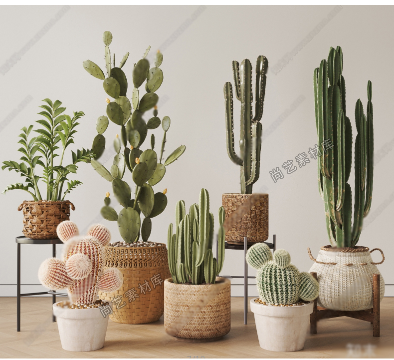 图片[5]-仙人掌仙人球植物堆SU模型热带仙人掌绿植造景多肉植物SU草图大师-cg男孩