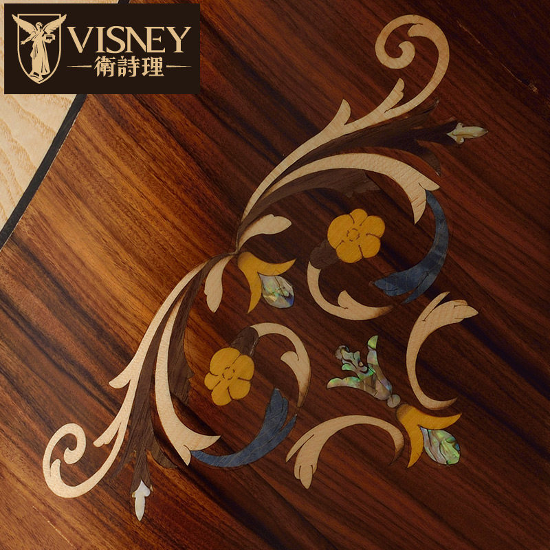 Visneyչʾ��Visney