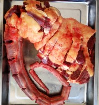 Inner Mongolia Hulunbuir Prairie fresh beef 500 grams divided into sections ten catties