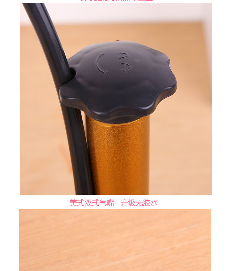 Pompe à vélo - Ref 2389895 Image 12