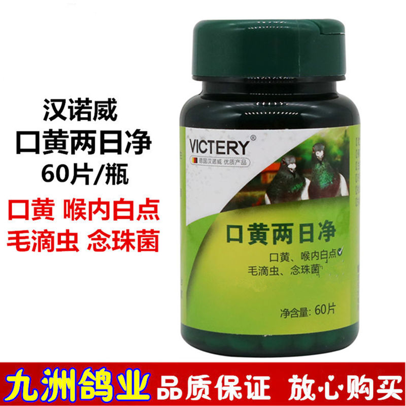 Miệng vàng hai ngày thuốc chim bồ câu Thuốc yến sào chim bồ câu chim bồ câu y học cung cấp thuốc trichomonas miệng vẹt chim vàng - Chim & Chăm sóc chim Supplies 	cám cho chim khướu	