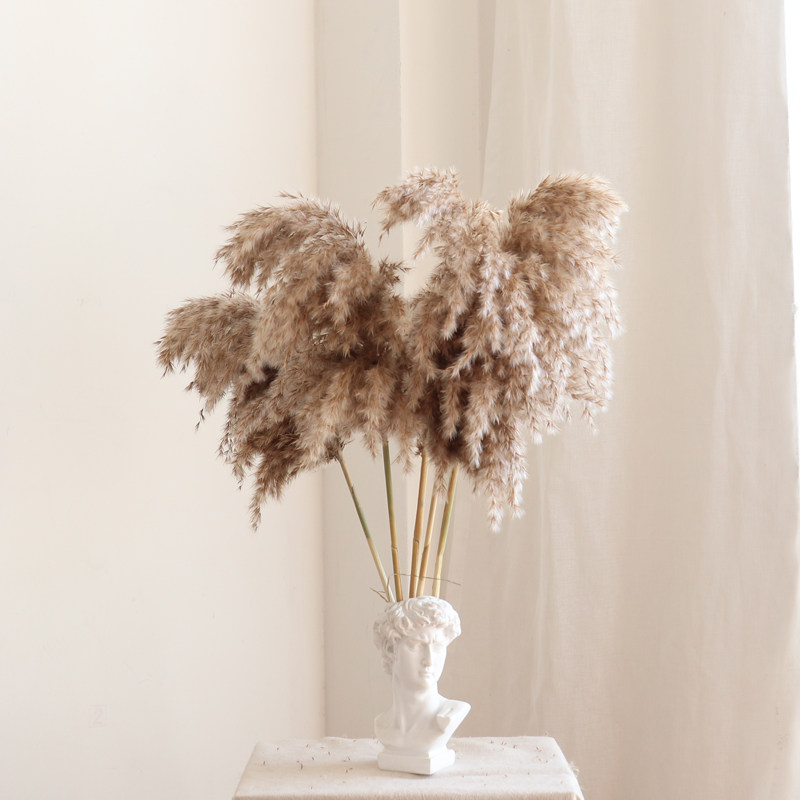 WULIHOME Internet celebrity dried reed flower shop display living room home decoration live broadcast background wall decoration