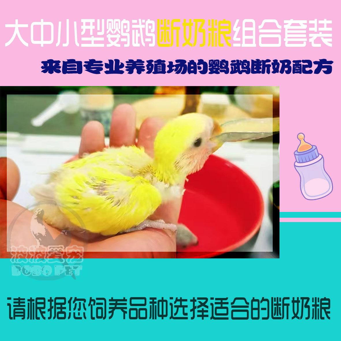 Small, medium and large parrot weaning food combination set