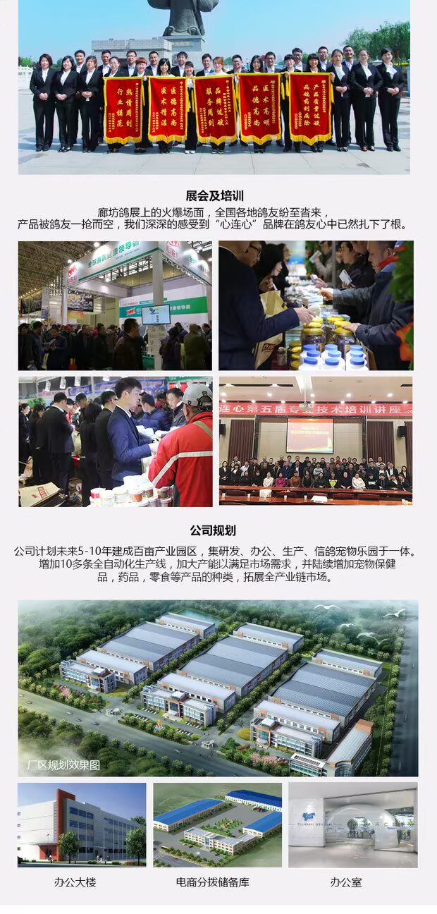 Trái tim đến trái tim, thuốc chim bồ câu, Daquan, dinh dưỡng chim, chim bồ câu trẻ, bồ câu, bồ câu, xương mạnh, thư, chim bồ câu, y học, ấp trứng - Chim & Chăm sóc chim Supplies siêu thị lồng chim