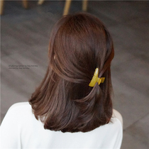 Korean large hairclip bath cute grab clip adult simple Joker personality Lady hairclip ponytail clip headwear