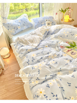 Summer bedding four-piece dormitory Net red spring and autumn bedding three-piece bed skirt quilt cover quilt princess style
