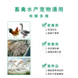 Электролитическое многомерное зверь Используйте курицу с добавлением витамина для птиц, кролика, черепахи, рыбы, креветки и водные премии