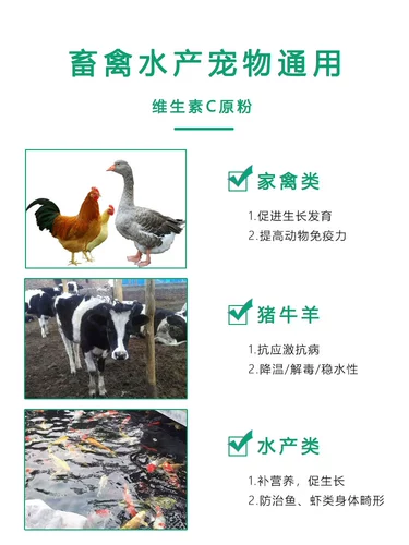 Витамин С Звери для порошкообразной порошкообразной порошковой корм для водных кормов, куриная утка, свинья, корова, овца, птицеводная рыба и стресс устойчивости к креветкам