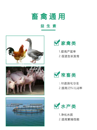 Звери маопиома кормовые добавки свинина, утка, корова, овца, кроличье голубь перепелиная норка плюс фермент зонд 500 г бесплатная доставка