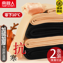 Antarctic stockings female flesh-colored leggings women outer wear bare legs artifact autumn bare sense pantyhose female plus velvet thickening