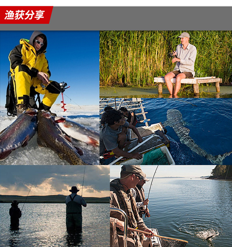 Дорожные суб- приманки bassking 水面铅笔175mm/92g狂鳞 浮水路亚饵深海船钓假饵金枪饵