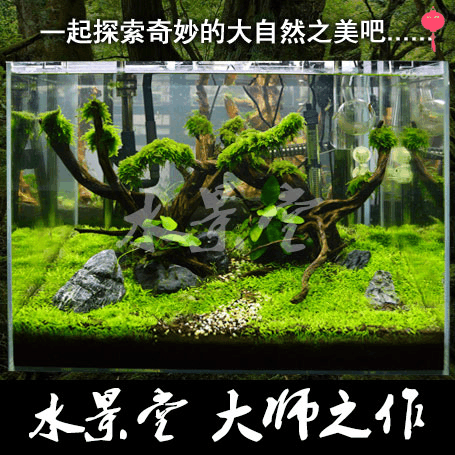 杜鹃根造景套餐装饰石鱼缸木头沉木鱼石鱼缸造景木头鱼缸贴 宠物/宠物食品及用品 水草 原图主图