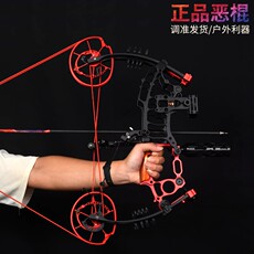 Боу 恶棍两用复合弓弓钢珠户外弓箭射击运动套装复合式两用弓复和