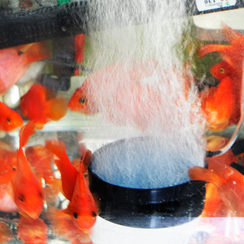 Fish tank aquarium air pump gas disc high temperature sintered bubble stone disc gas stone sand head sand disc oxygenation pump 12mm