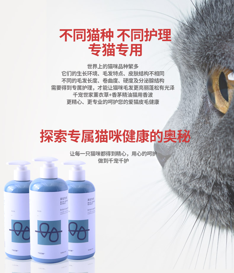 Sữa tắm cho mèo Cat đặc biệt tắm ngắn của Anh cung cấp vào âm hộ giết vi khuẩn mèo xanh tắm dầu gội 500ml - Cat / Dog Beauty & Cleaning Supplies lược furminator