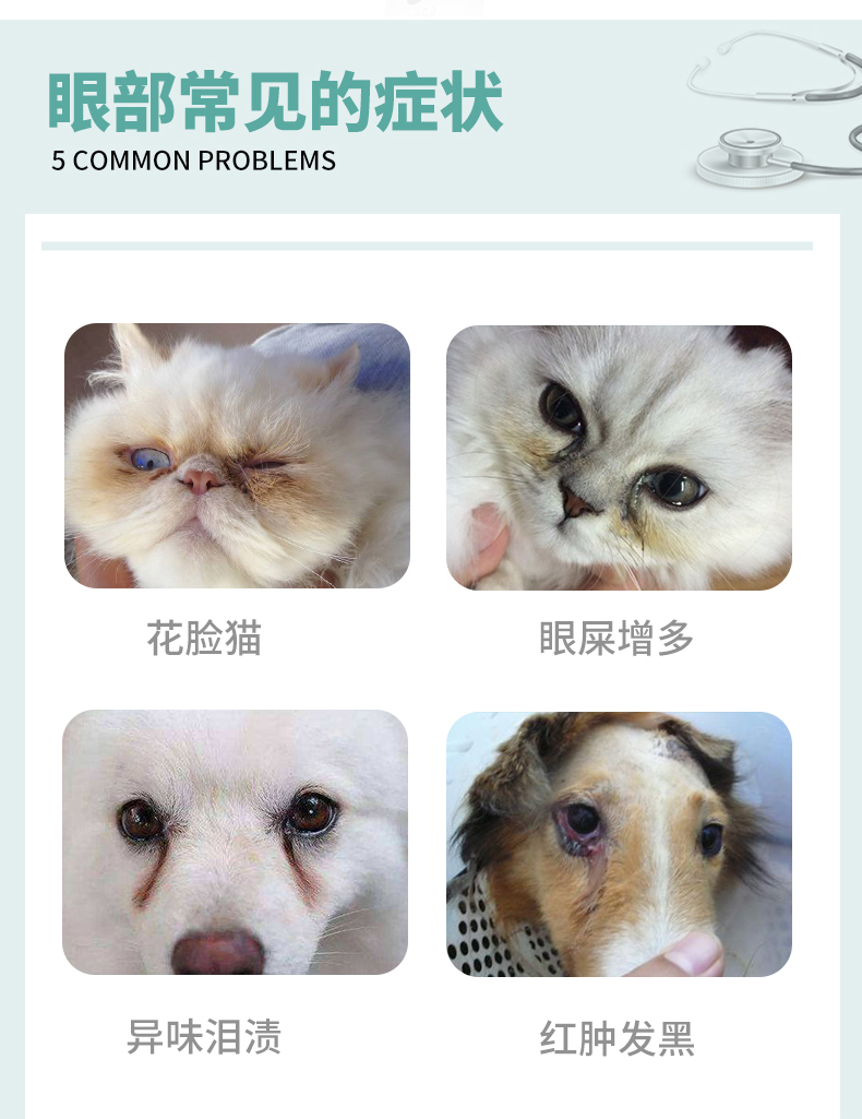 拜 卡 靓 目 素 狗狗 去 泪 斑 粉 宠物 Teddy 比 熊 祛 泪眼 眼 眼 眼 眼 眼泪 泪 泪 炎 - Thuốc nhỏ mắt nhỏ mắt v rohto