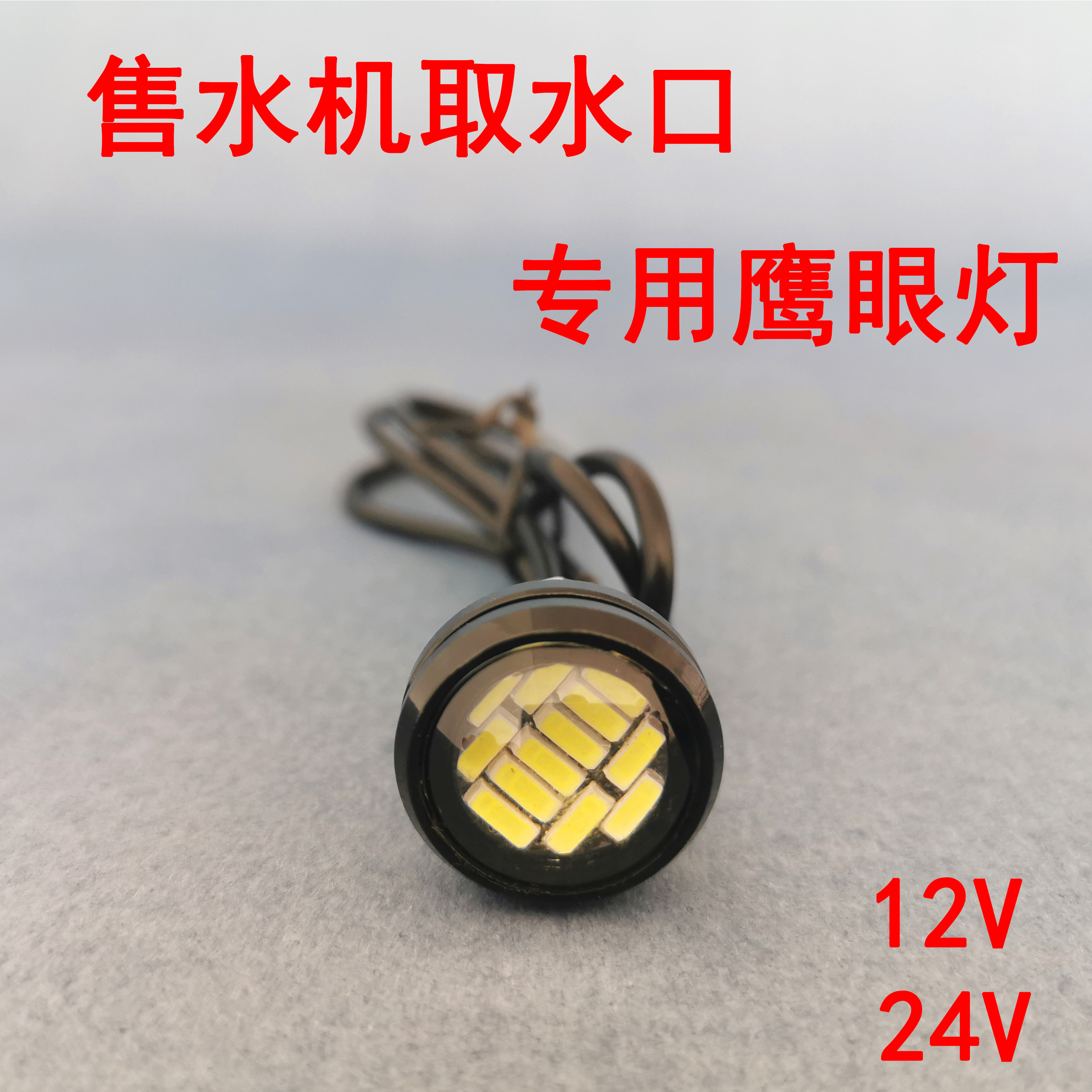 Daily Quanzhou Yiquan Community Automatic Schiller 12v Water Outlet LED Lamp Fetch lamp Eagle Eye Lamp Eagle Mouth Lamp 24V