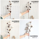 Cotton Dried Flower Bouquet Eternal Flower Shooting Props Photo Ornament Decoration Kapok Fake Flower Net Red Simulation Cotton