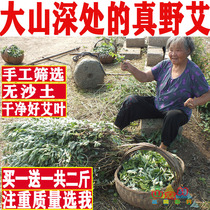 Wormwood wormwood leaves to remove the wet air dry wormwood household wild wormwood leaf grass moon special post-natal fresh mugwort