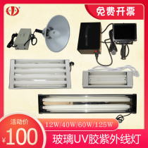 Philips HPL-N125W 542 Shadowless glue curing high pressure mercury lamp E27 interface requires ballast