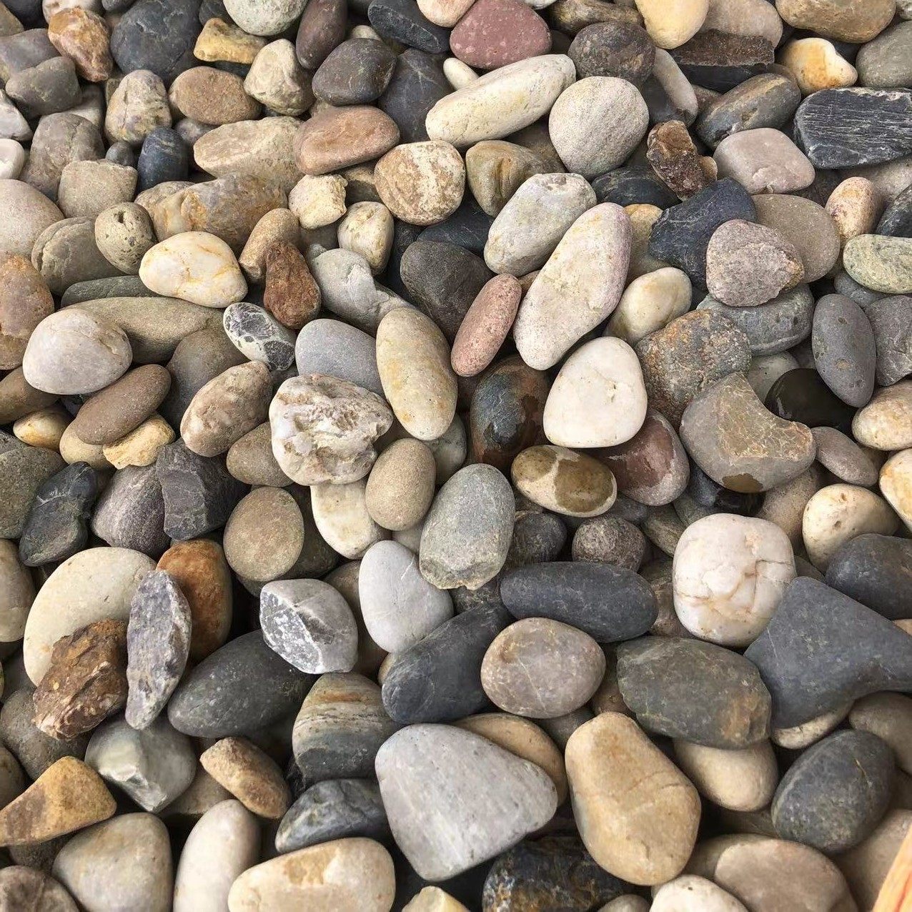 Natural cobblestone transformer cobblestone variegated cobblestone high hardness large cobblestone backfill cobblestone mixed batch