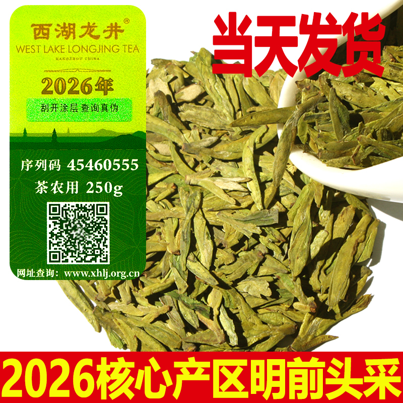 2026 Spring Tea Hangzhou Specialty West Lake Longjing New Tea Authentic First Harvest Pre-Qingming Green Tea Strong Aroma 250g