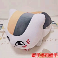 Может вмешиваться - откройте модель кошки для глаз