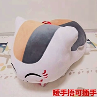 Может вмешиваться - щупав модели кошек