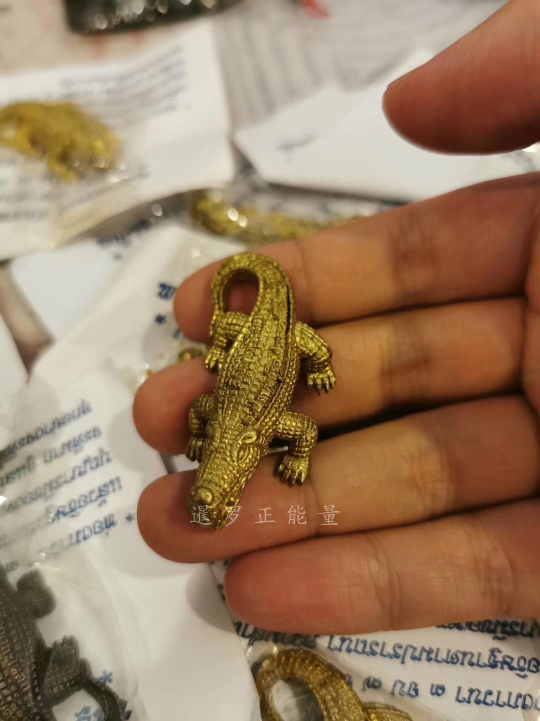 The Thai Buddhist dragon lady SooCrocodile in Thailand.