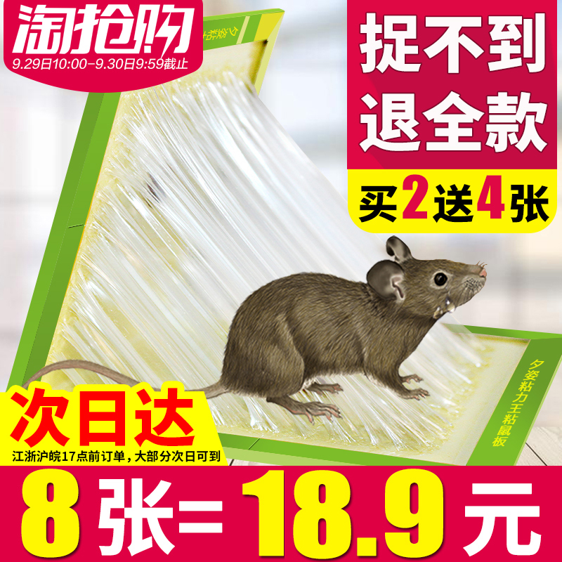 8 Zhang's New Year's Eve Super Force Sticking Rat Board Grip Mouse Stickler Household Mousetrap And Mouse Trap and Mice Gel and Mice Glue Medicine