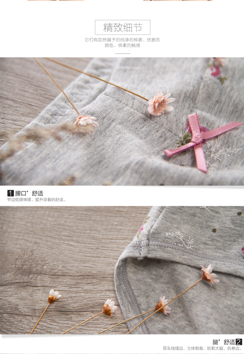 Slip Moyen-âge DNKWC-T6416-3 en coton - Ref 642304 Image 17