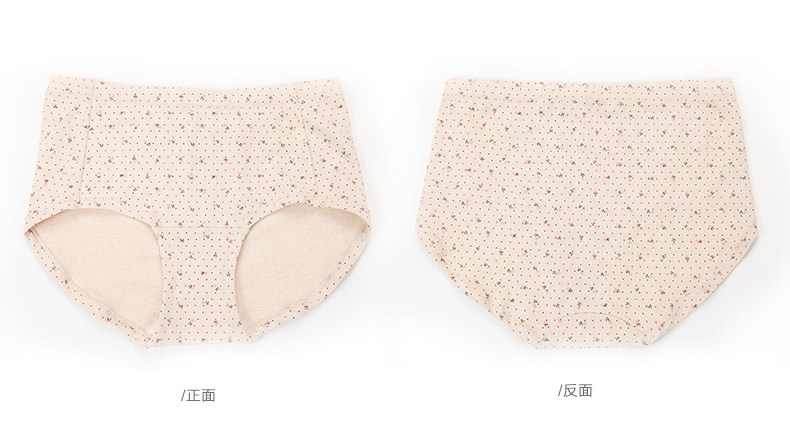 Slip jeunesse DNKWC-T6404-4 en coton - Ref 641955 Image 15