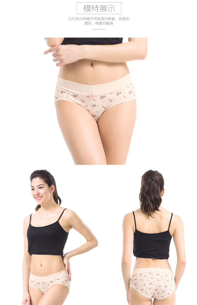 Slip Moyen-âge DNKWC-T6416-3 en coton - Ref 642304 Image 14