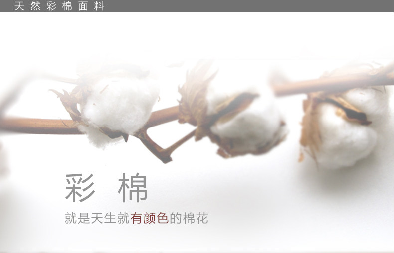 Slip jeunesse DNKWC-T6402-3 en coton - Ref 642177 Image 9