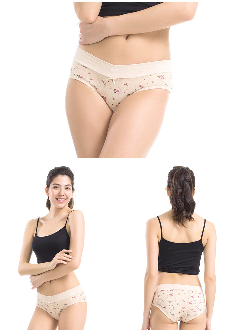 Slip Moyen-âge DNKWC-T6416-3 en coton - Ref 642304 Image 16