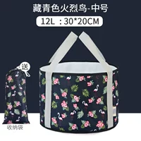 Средний тиб-тибец Blue Firebird