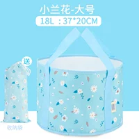 Обновление крупнокладочной орхиды