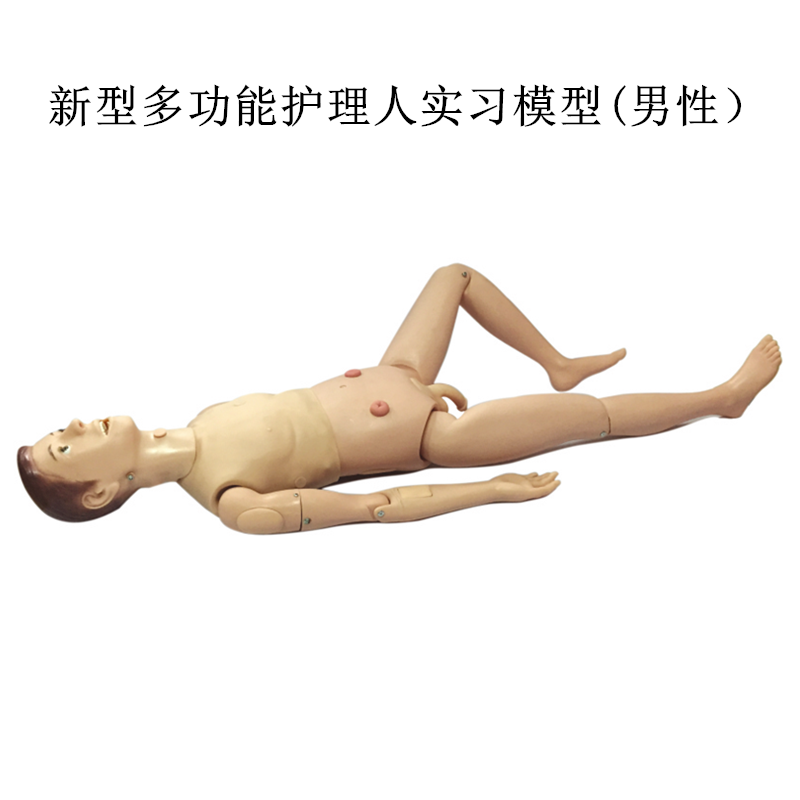 高级关节螺丝固定新型多功能护理人实习模型(男性）