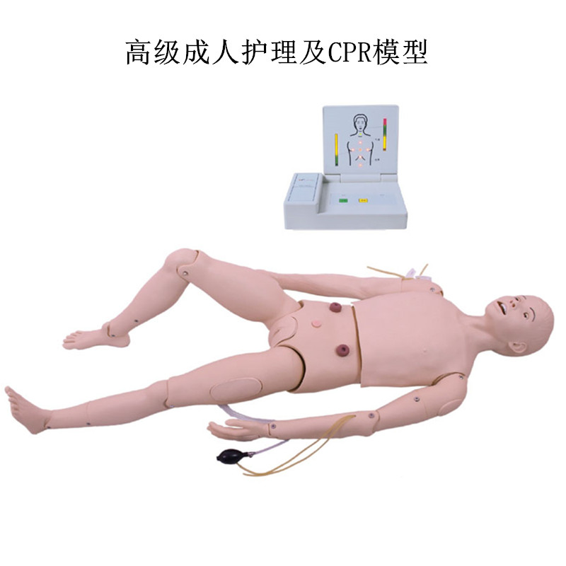 高级成人护理及CPR模型人心肺复苏急救操作护理训练模拟人体模型