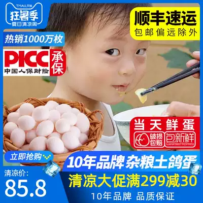 Zhejiang fresh pigeon eggs Jiangshan Hengwo grain pigeon eggs Farm free-range white pigeon eggs 30 pieces SF