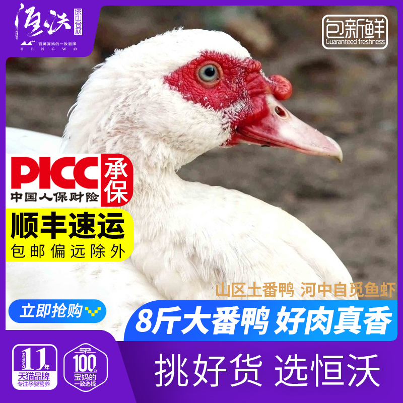 Hengwo red-faced muscovy duck farmer's free-range old-fashioned duck in the mountains free-range soil duck fresh cannabis duck whole