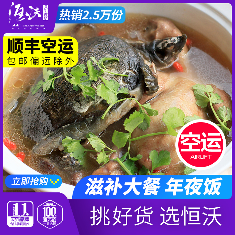 Turtle stew pigeon traditional dish (sinking fish falling goose) turtle pigeon pigeon meat fresh killed SF