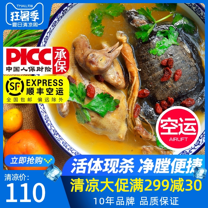 SF air fresh big fish stewed big pigeon Traditional dish (sinking fish and geese)Turtle pigeon pigeon pigeon meat