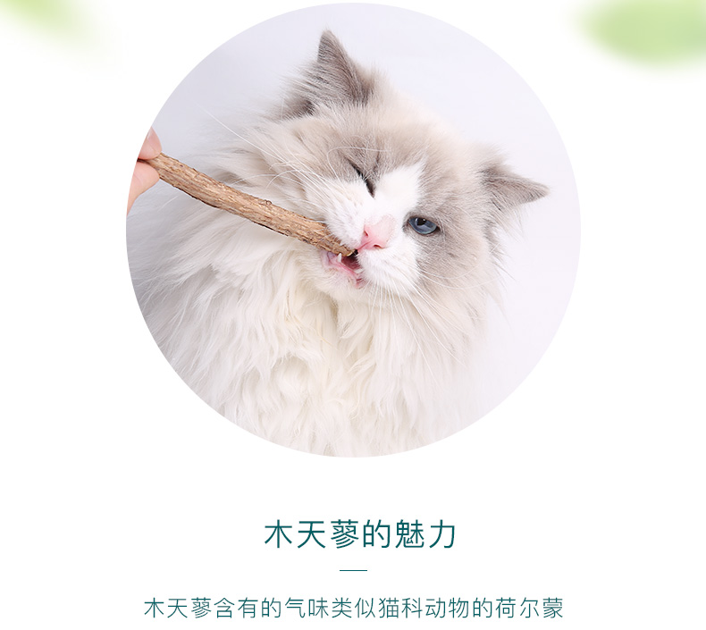 网 猫咪 食 怡 亲 木 天 蓼 5 装 * 6 猫食 食 宠物 猫 磨牙 棒 猫 6 棒 bánh quy lưỡi mèo