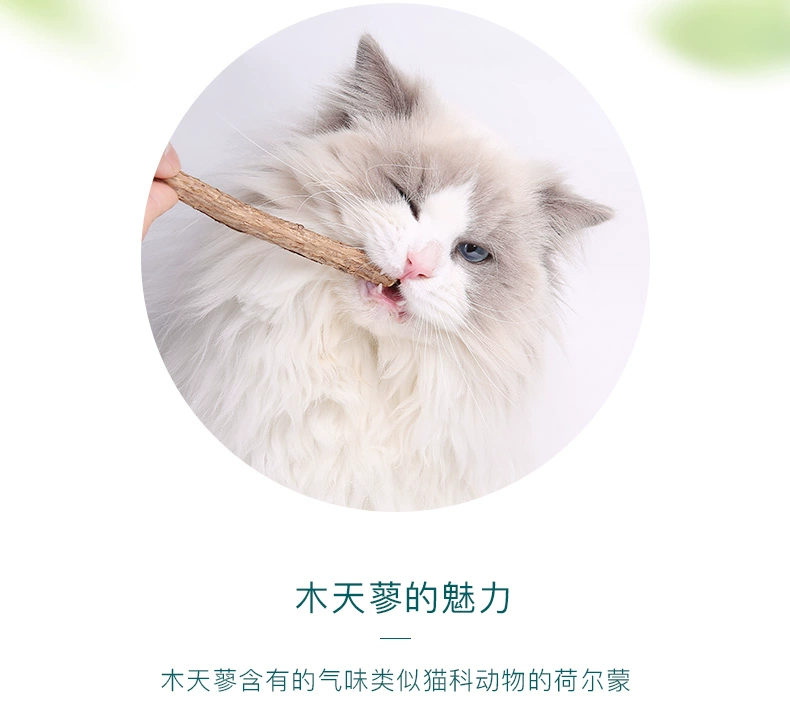 网 怡 蓼 5 Gói Funny Cat Stick Molar Clean Răng Pet Cat Snack Cat Đồ chơi - Đồ ăn nhẹ cho mèo