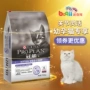 Hiên vương miện ròng thể của mèo ăn Kitten Cát Thực phẩm 7kg giá đầy đủ của mèo ăn mèo Muppet mèo lương thực Cát Trẻ Thực phẩm hạt ăn cho mèo